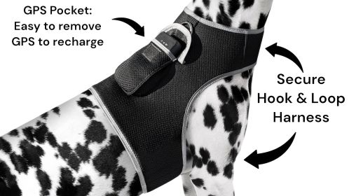 Lightweight Rechargeable Collar Pet GPS Tracker for Dogs with Movement Detector Size:XL
