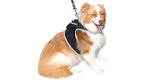 Improved Mini GPS Dog Collar Tracker Realtime Pet Locator w/ GeoFence Size:XL