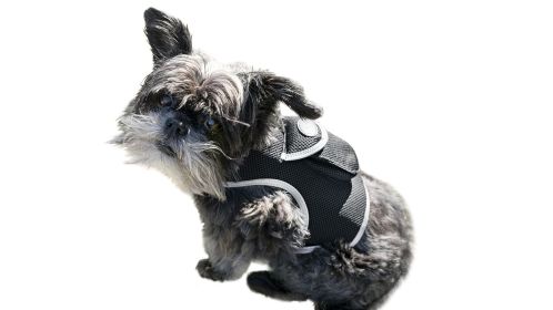 Locate Your Dog with Rechargeable Mini GPS Pet Collar Tracking Device Size:XL
