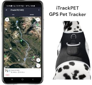 GSM GPS Dog Collar High Rated Reviews Rechargeable Pocket Pet Tracker Size:XL