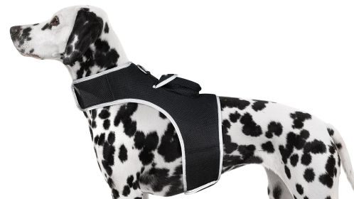 Keep Pet Safe with Pet Tracker GPS Dog Collar Tracking Device + Phone App Size:XL
