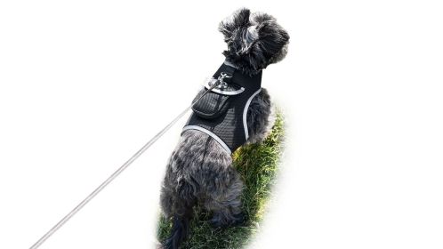 Mini GPS Dog Collar Android App Compatible Tracking Device Waterproof Size:XL