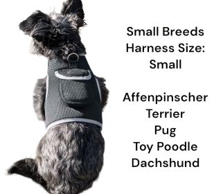 NEW Mini Pet Tracker GPS Collar for Dog Compatible for iPhone Android Size:XL