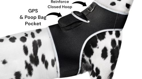 NEW GSM GPS Pet Mobile Locator Mini Waterproof Collar Tracker for Dog Size:XL