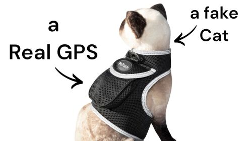 Inexpensive Animal Tracking Device GPS GSM Dog Collar Mount Finder NEW Size:XL