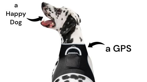 Battery Saver Mini GPRS GSM GPS Collar for Dogs Waterproof Pet Tracker Size:XL