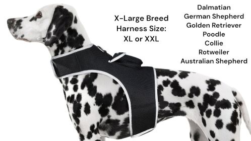 Android Phone Compatible Dog Tracking GPS Collar Mount Portable Device Size:XL