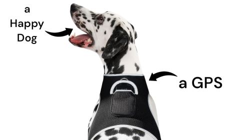 Wireless GPS Dog Tracking Collar Device with Realtime Surveillance App Size:M