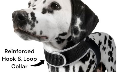Affordable Mini Realtime GSM GPS GPRS Dog Tracking Collar Mount Device Size:XL