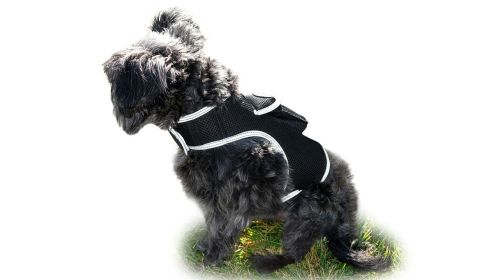 Dependable Realtime Tracking GSM GPS for Dog Collar Mount Pet Locator Size:XL